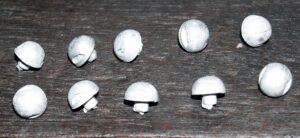 Scallop roof vents